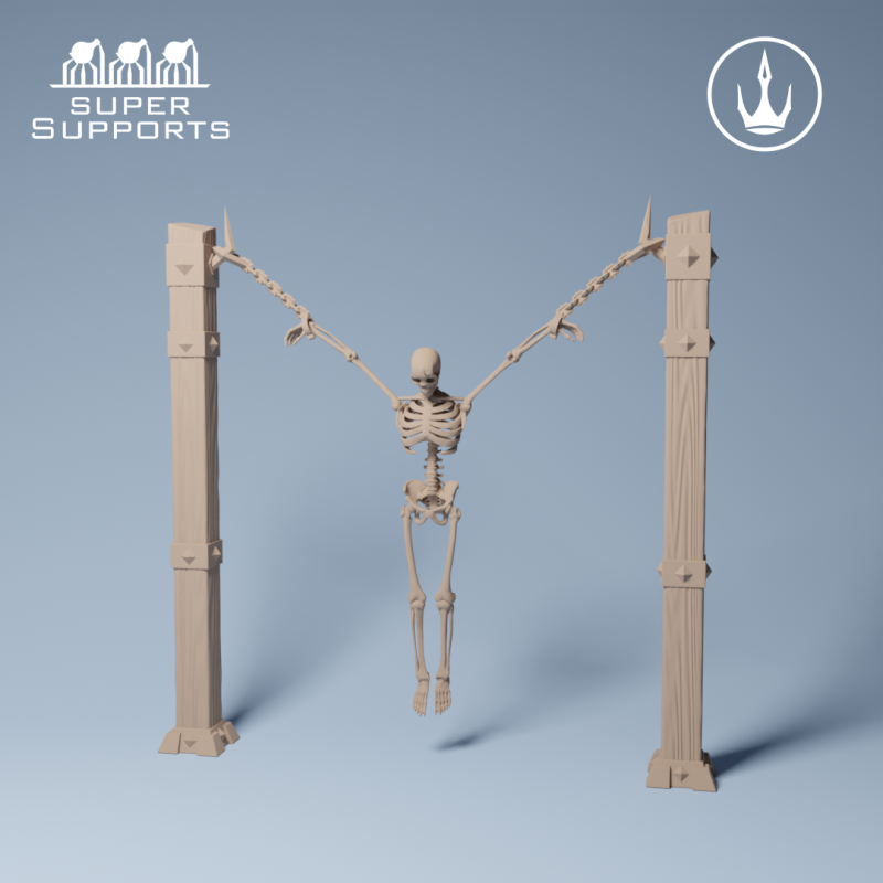 Human Skeleton - Group 3