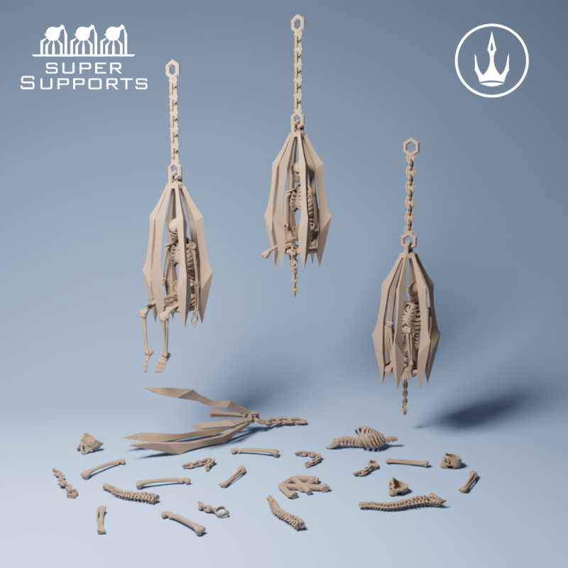 Human Skeleton - Group 2