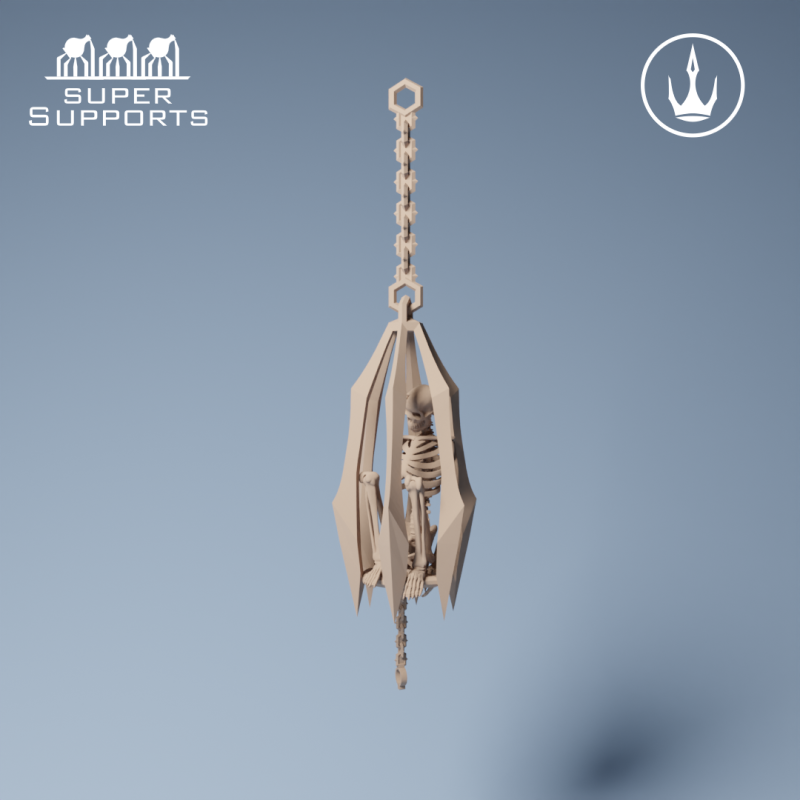 Human Skeleton - Group 2