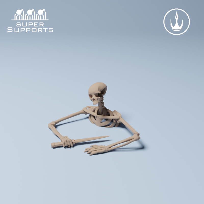 Human Skeleton - Group 1