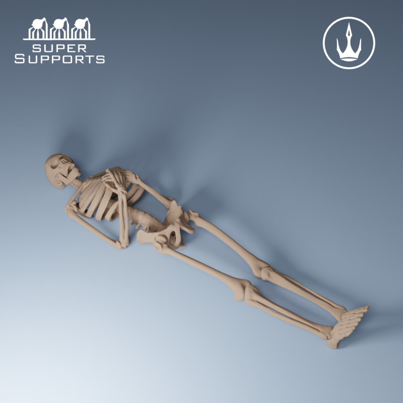 Human Skeleton - Group 4