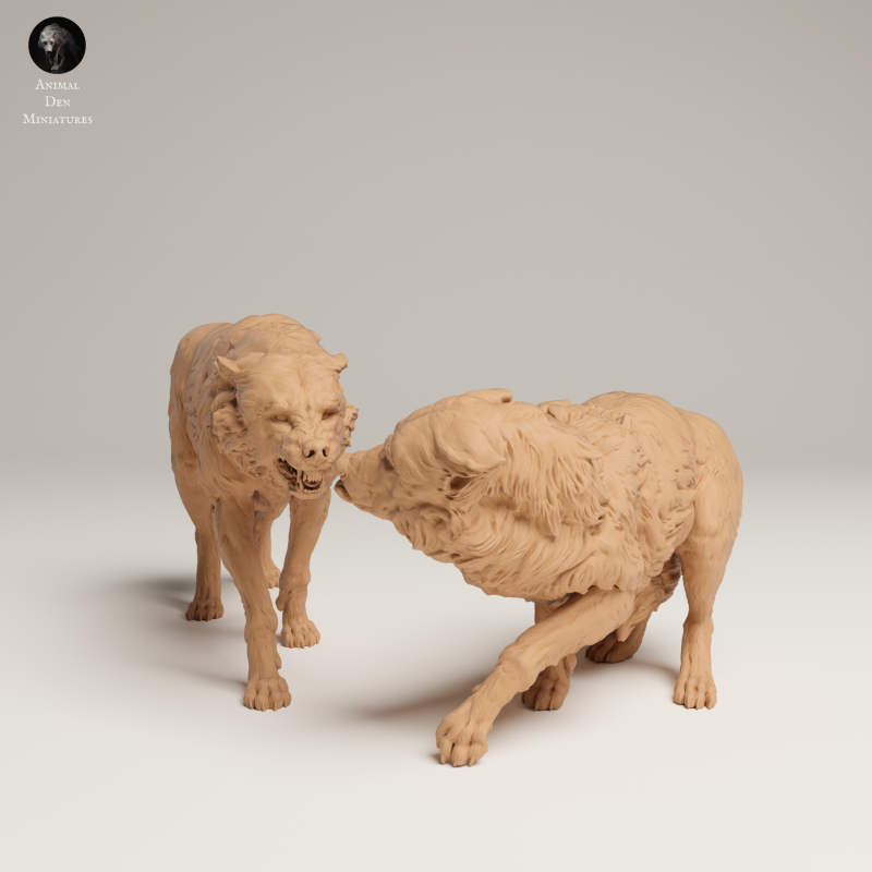 Grey Wolves - Aggressive - 1-24