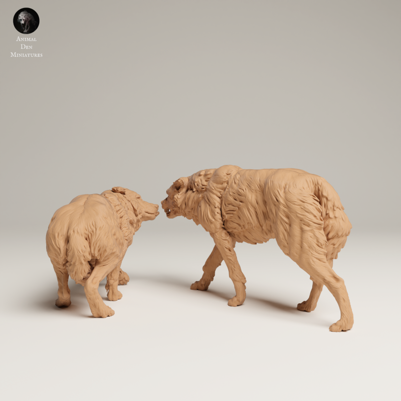 Grey Wolves - Aggressive - 1-24