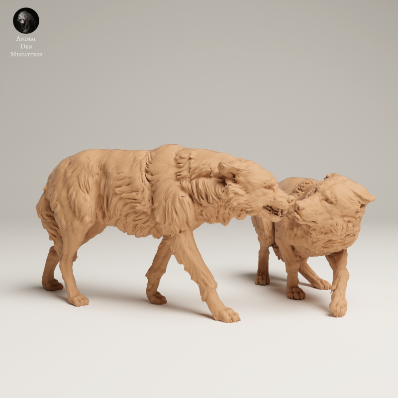 Grey Wolves - Aggressive - 1-24