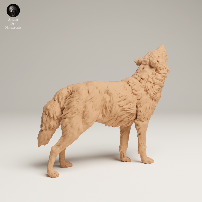 Grey Wolf Howl - 1-24