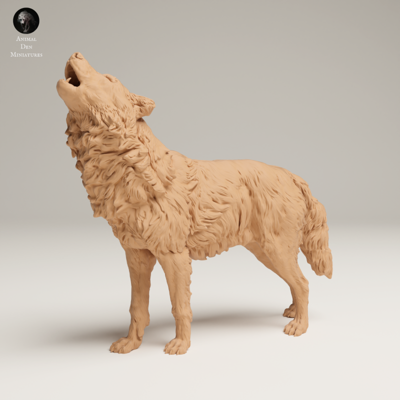 Grey Wolf Howl - 1-24