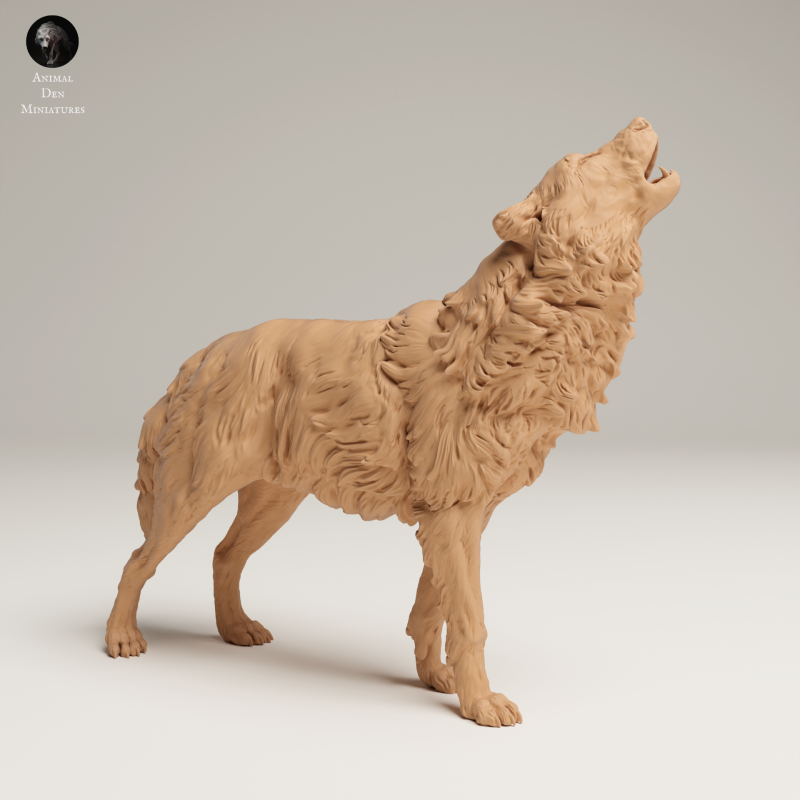 Grey Wolf Howl - 1-24