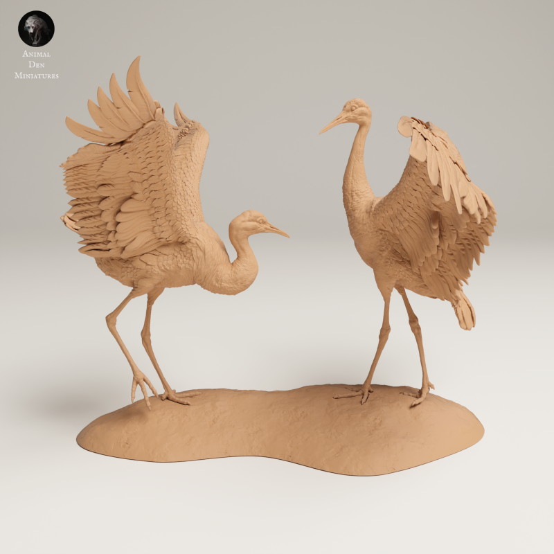 Greater Sandhill Crane Dance 1-24