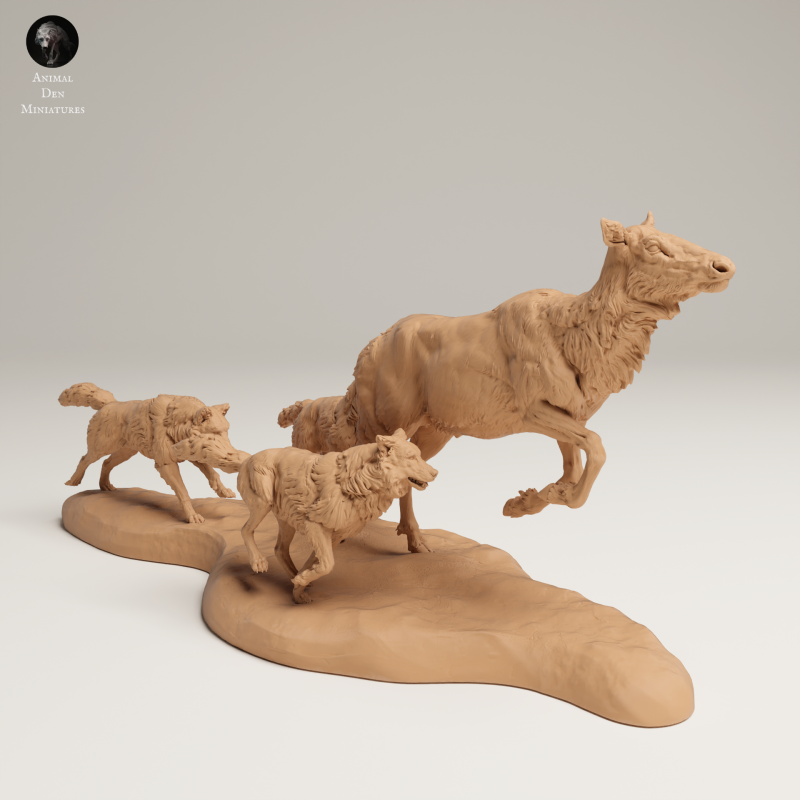 Grey Wolves - Hunting Elk Cow - 1-24