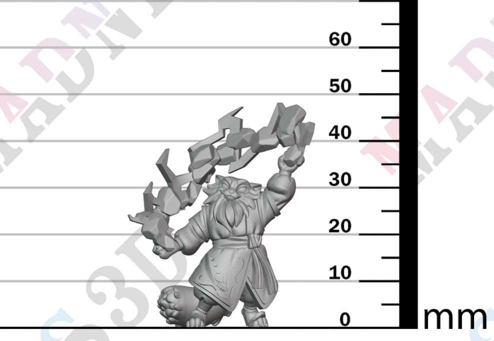 Paltuun Wizard - Male