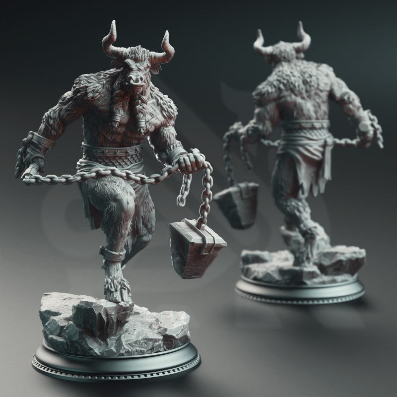 Minotaurs of the Labyrinth