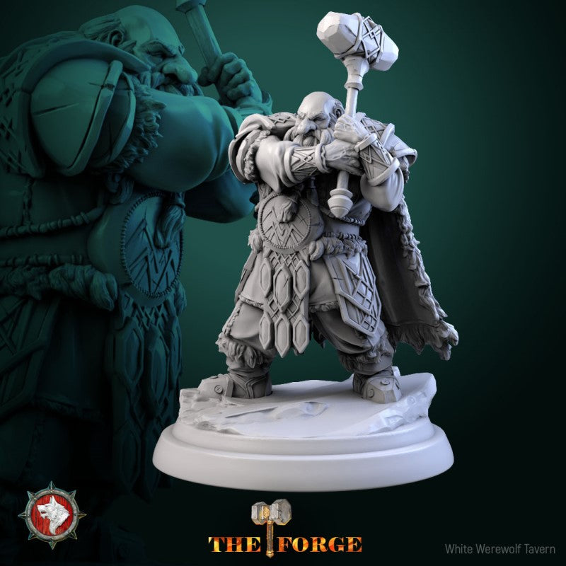 Mountain Dwarf Warrior Set