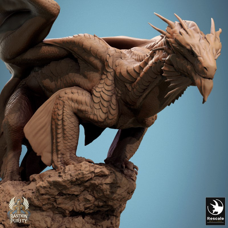 Bronze Dragon - Stance