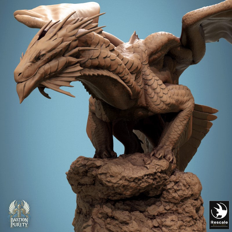 Bronze Dragon - Stance