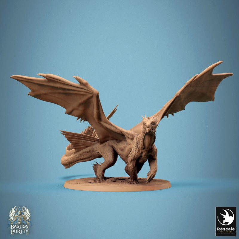Bronze Dragon - Walk