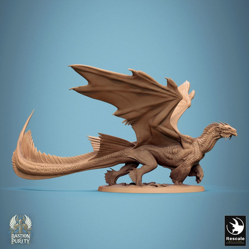 Bronze Dragon - Walk