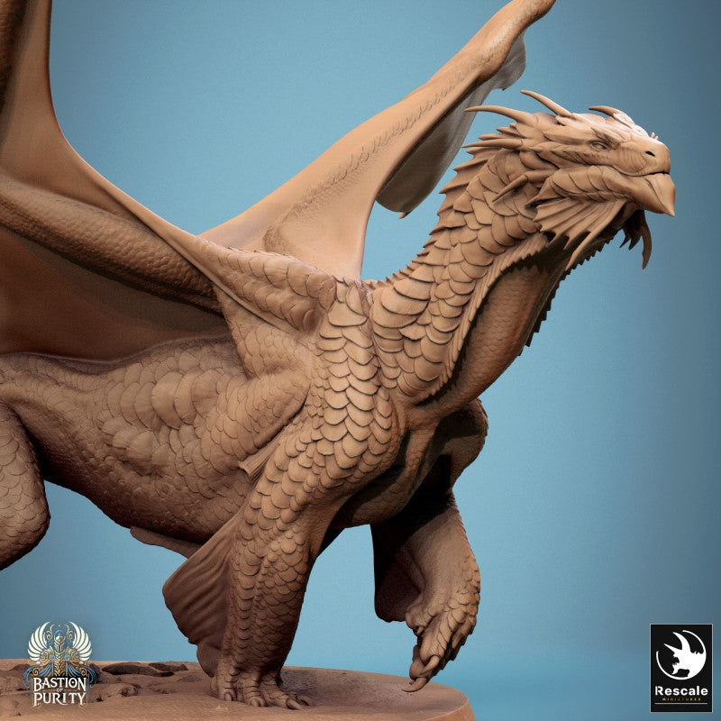 Bronze Dragon - Walk