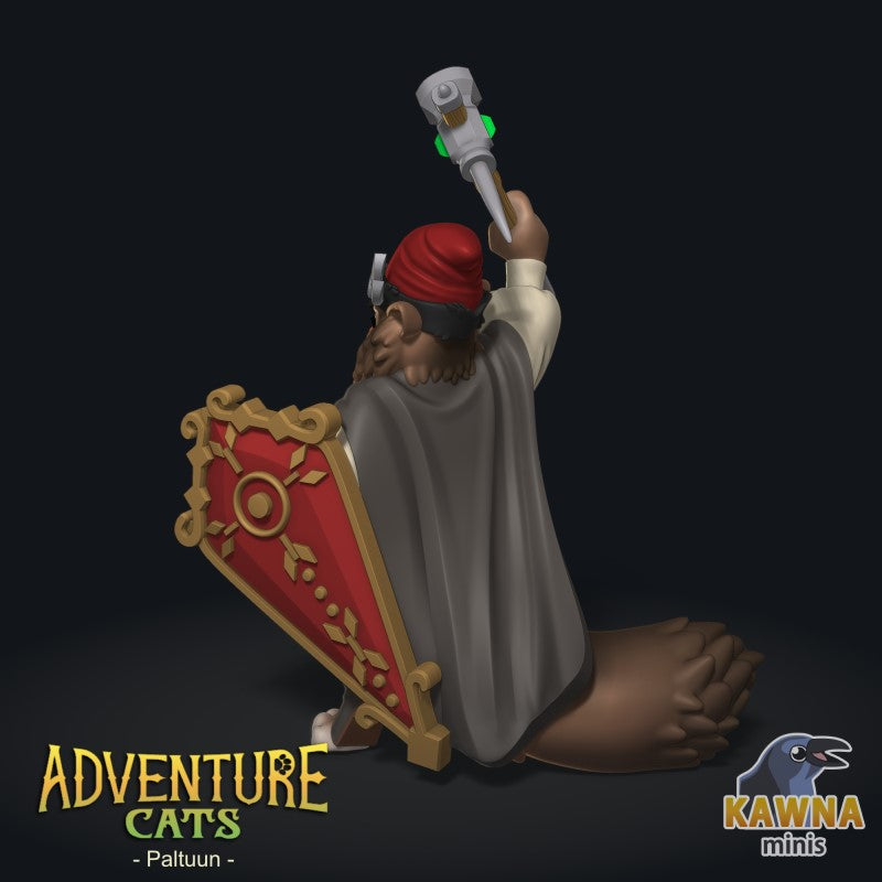 Paltuun Cleric - Male