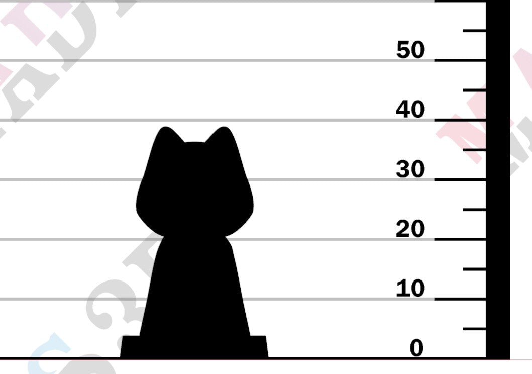 Kobold Magic Cultist