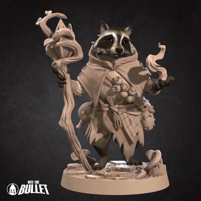 Raccoon Druid