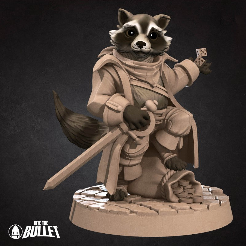 Raccoon Thief