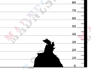 miniature Barb & Jane by Twin Goddess
