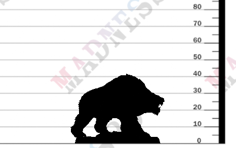 miniature Galdurbjorn - Skadi Companion by Artisan Guild