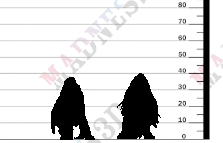 miniature Bodak designed by Printed Obsession