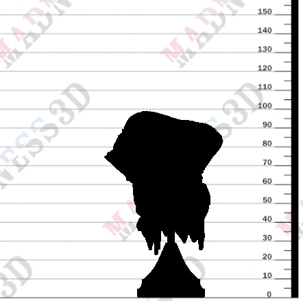 Corpus Crasnorsk - Bust