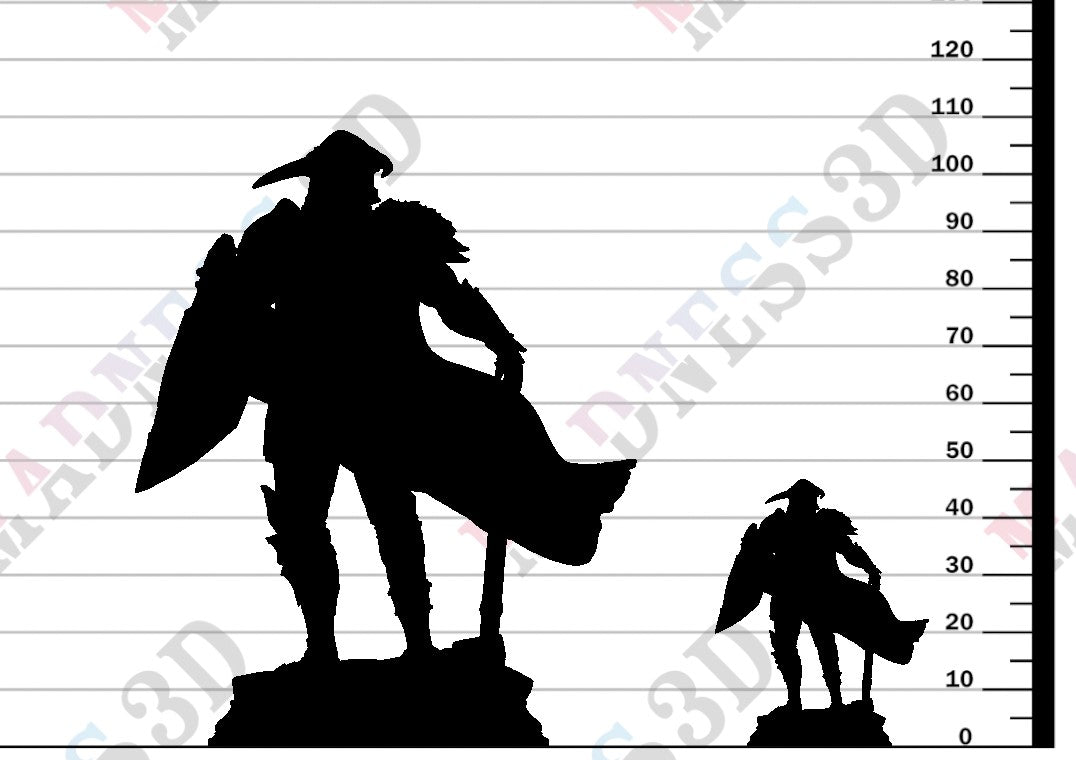 Lizarin - Champion of Renmaeth