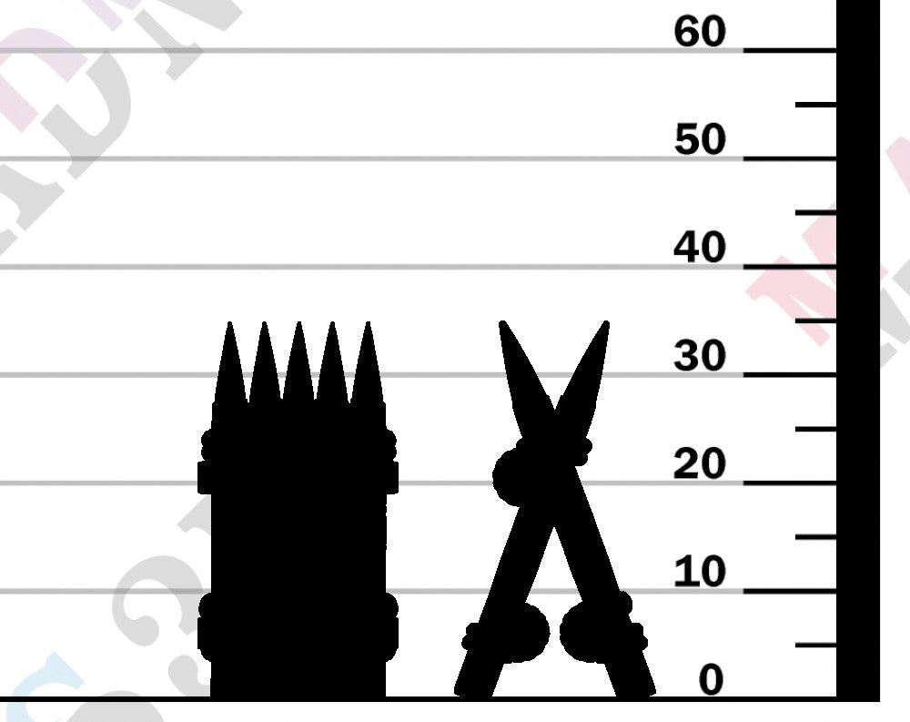Bonebranch Palisade - V1