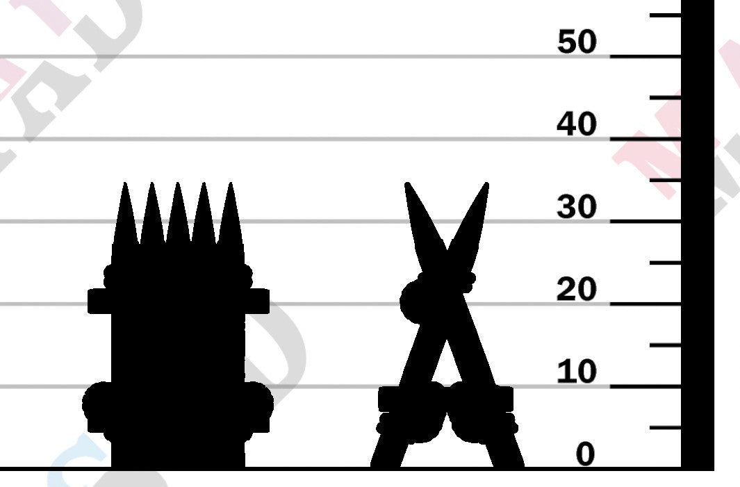 Bonebranch Palisade - V2
