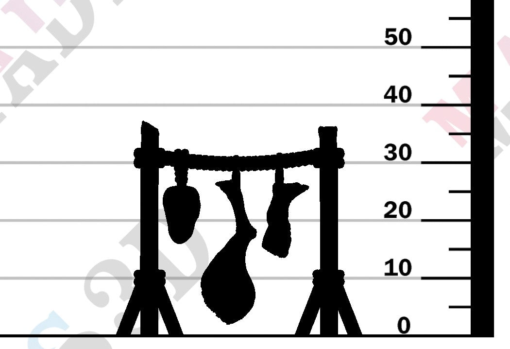 Human Meat Hanger