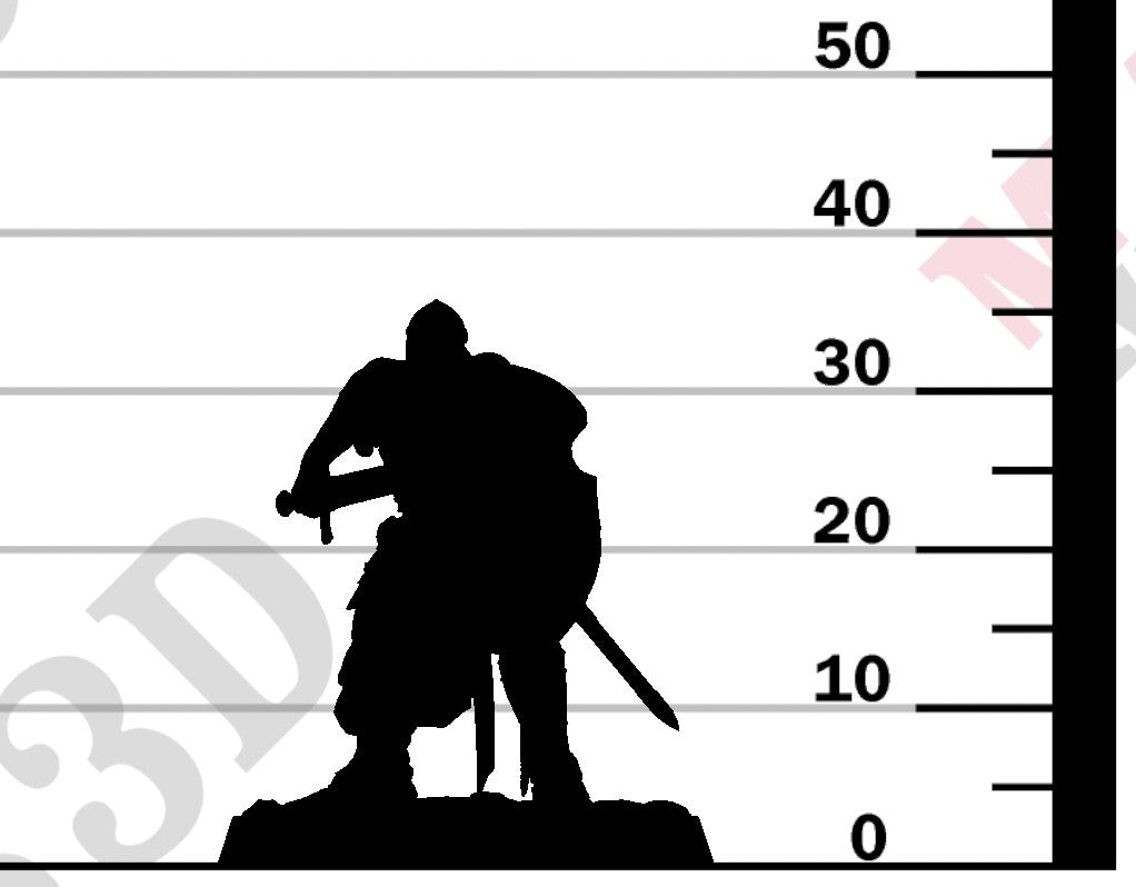 Knight of Valor - Charge Sword Shield