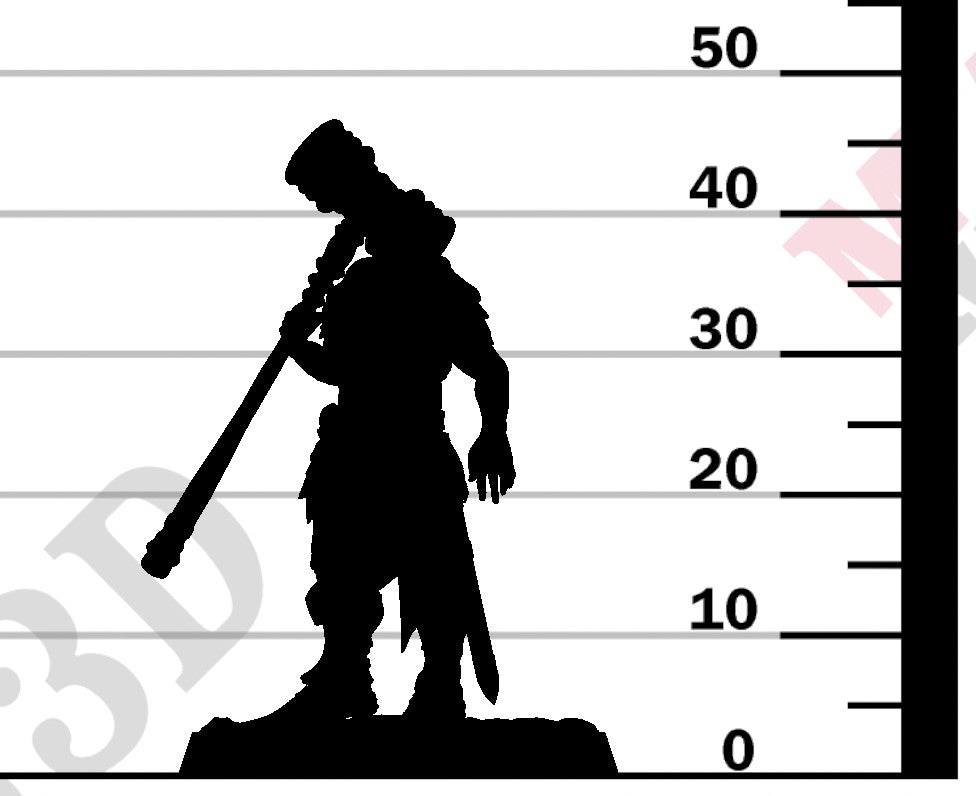 Knight of Valor - Chief Hammer