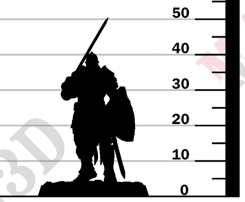 Knight of Valor - Chief Sword Shield