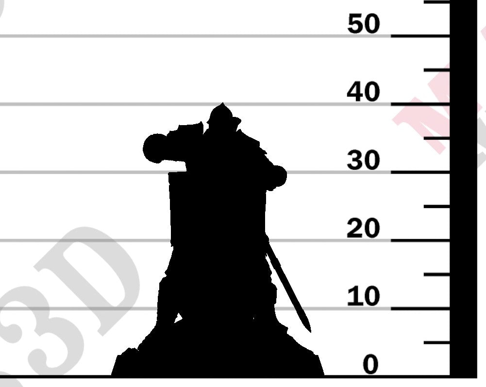 Knight of Valor - Fire Guardroom