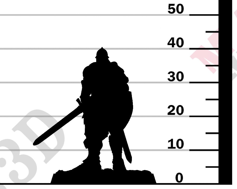 Knight of Valor - Sword Shield Wait