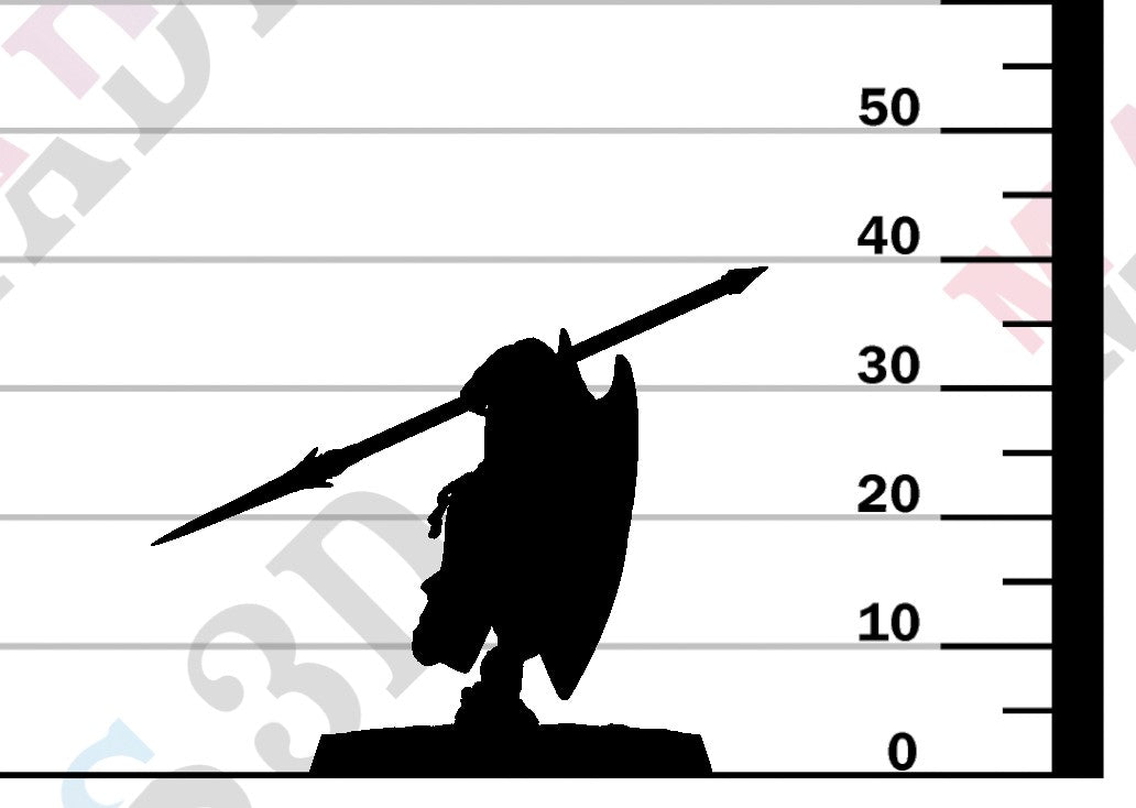 Moon Elf Sentinel - Charge Spear Shield