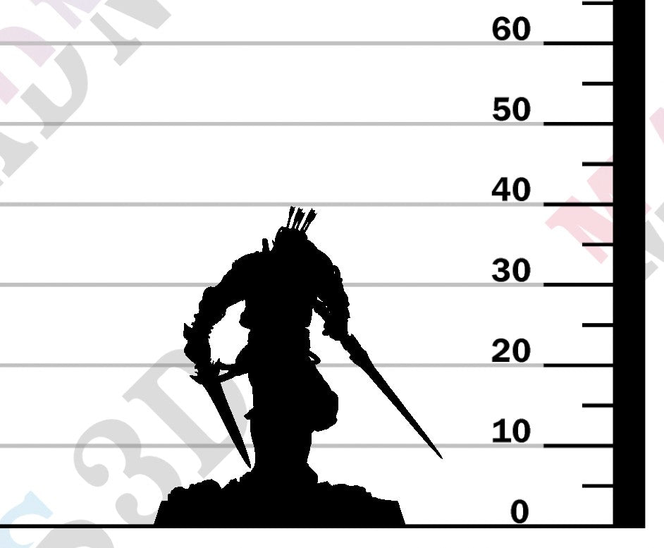 Moon Elf Sentinel - Ready Dual Sword