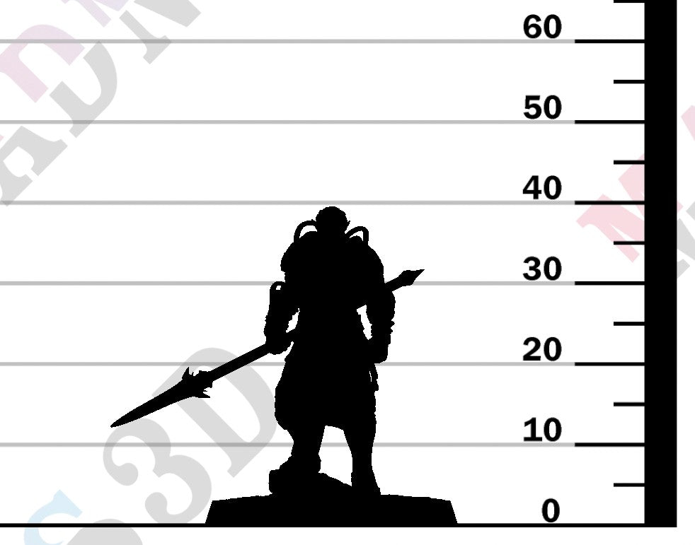 Moon Elf Sentinel - Ready Spear
