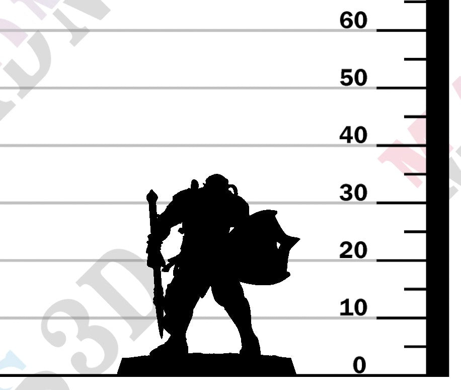 Moon Elf Sentinel - Ready Spear Shield