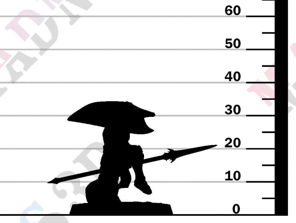 Moon Elf Sentinel - Run Spear Shield