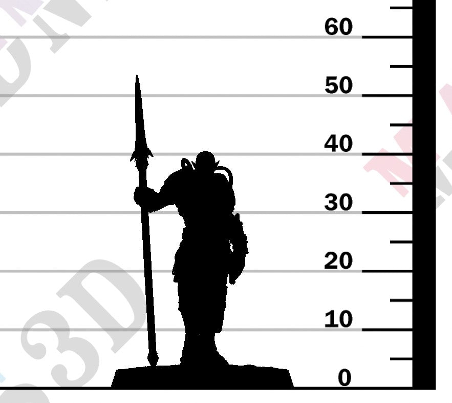 Moon Elf Sentinel - Stand Spear