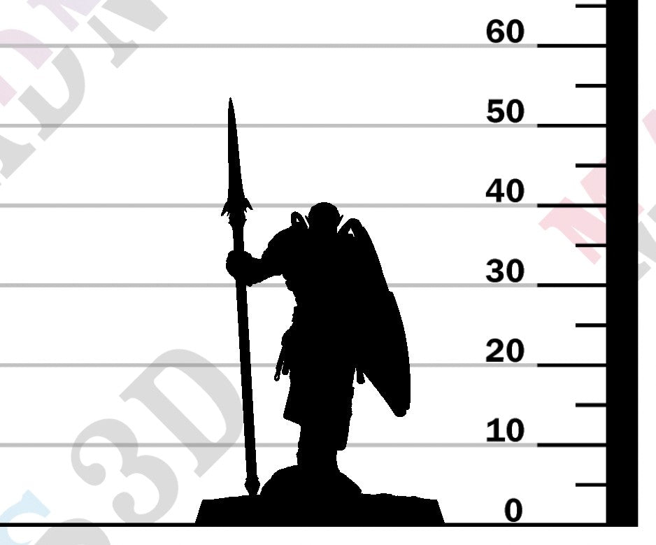 Moon Elf Sentinel - Stand Spear Shield