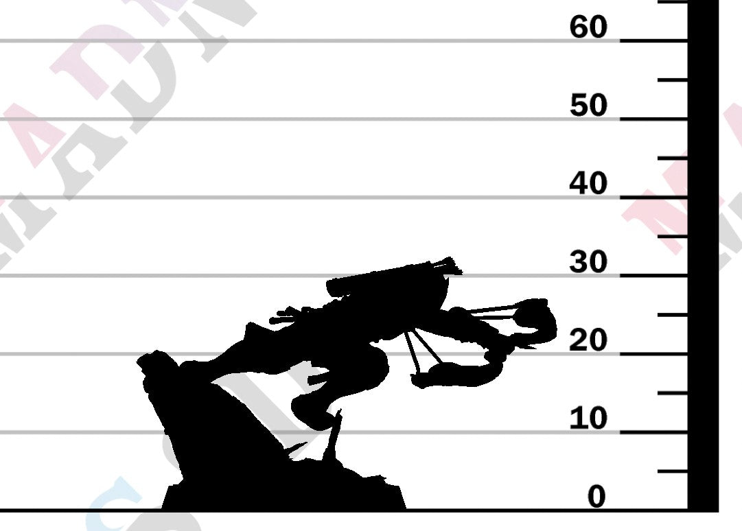 Moon Elf Sentinel - Wall Run Shoot Bow