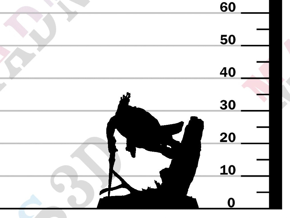 Moon Elf Sentinel - Wall Run Sword