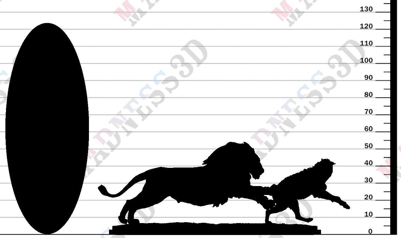 Lion Hunting Spotted Hyena