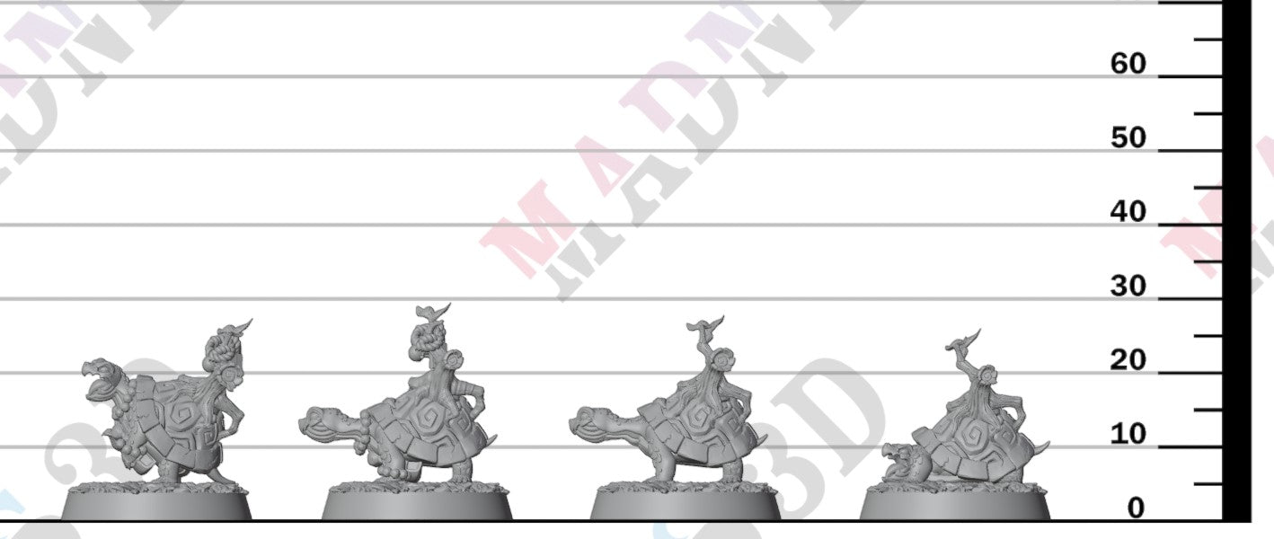 Droise - Droughtoise