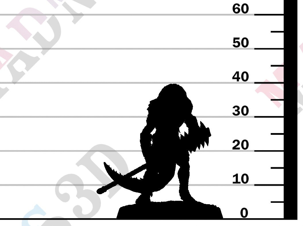 Lizardman Grimscale - Spear Patrol